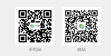手機站，微站